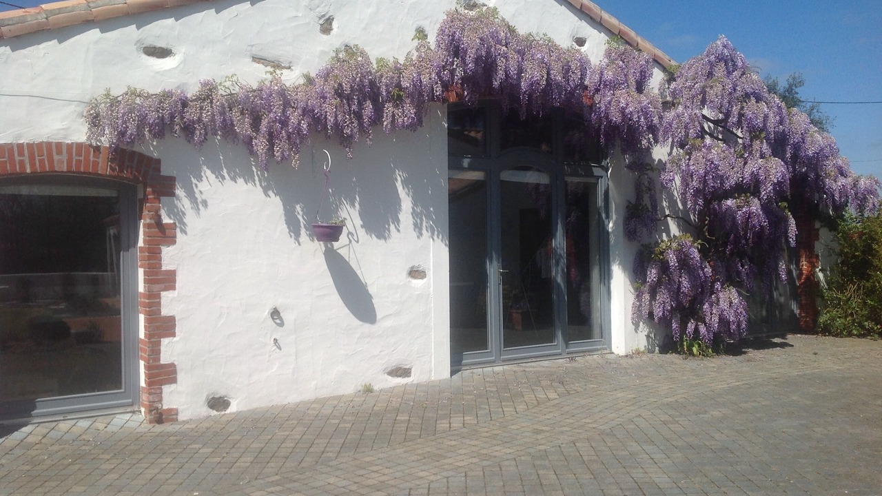 Photo of Outdoor in La Garnache