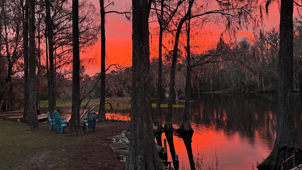 Photo of Others in Dunnellon
