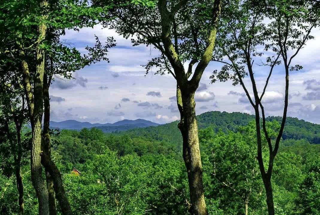Photo of Outdoor in Horse Shoe