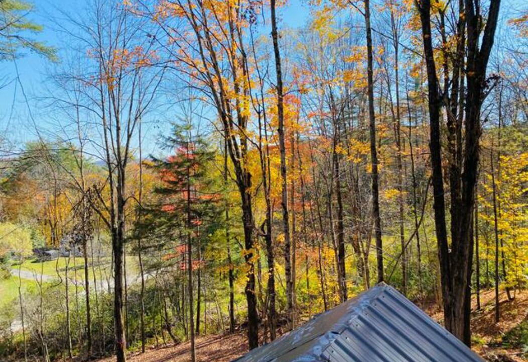 Photo of Outdoor in Ludlow