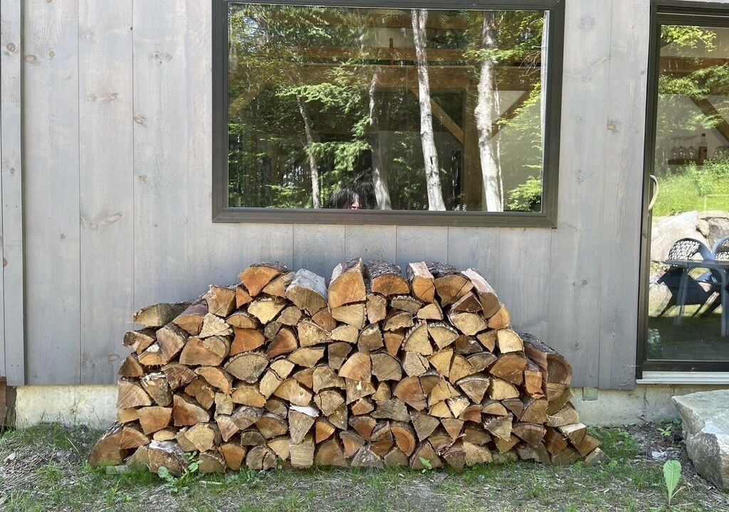 Photo of Outdoor in Ludlow