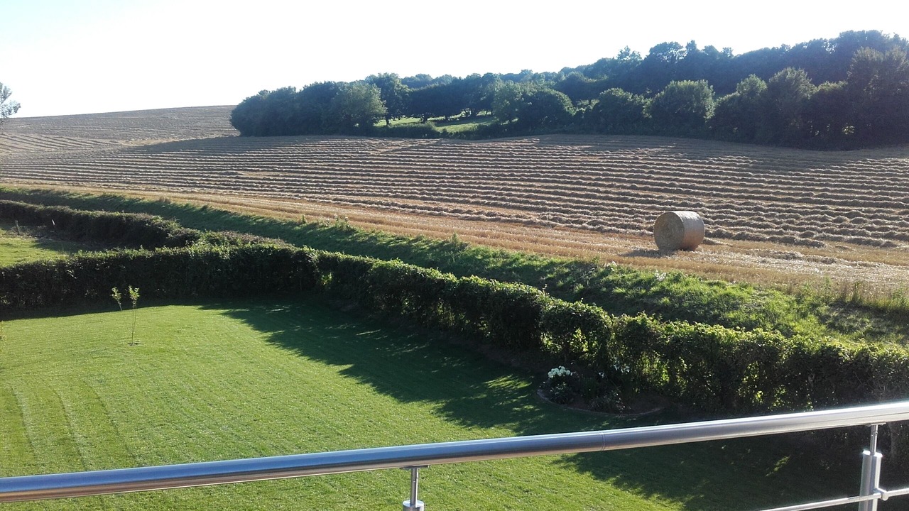 Photo of Outdoor in Bezinghem