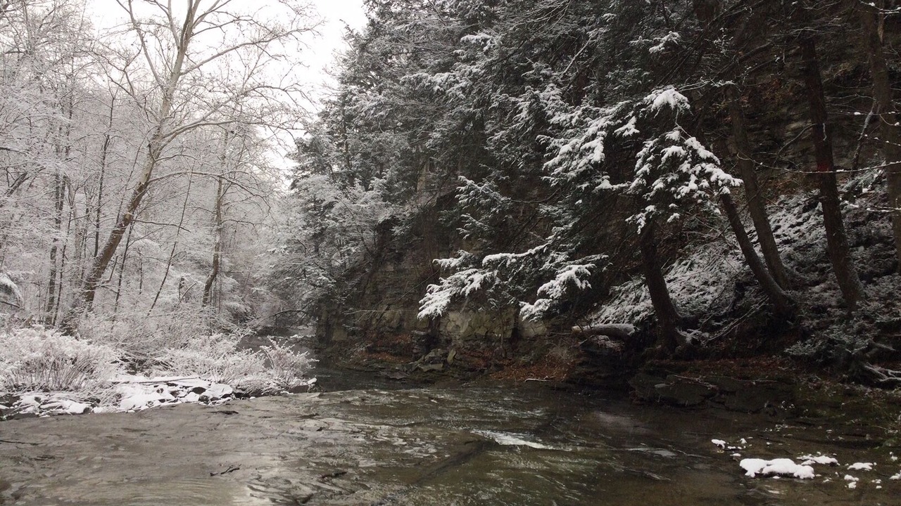 Photo of Outdoor in Dansville