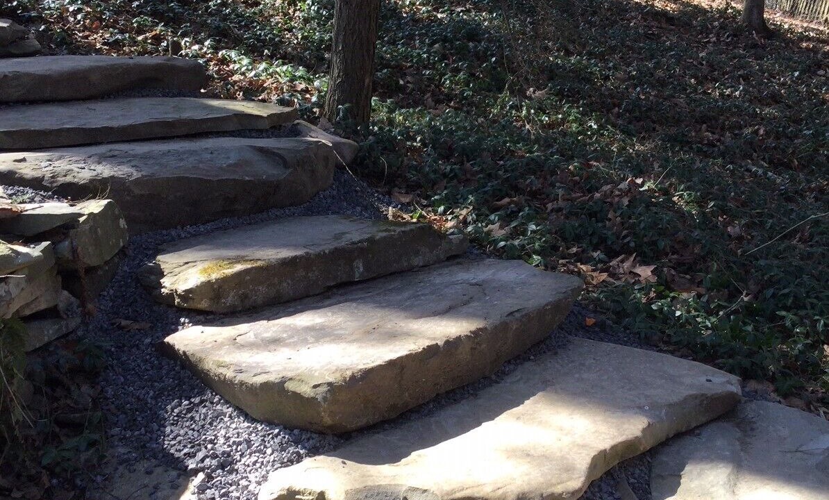 Photo of Outdoor in Dansville