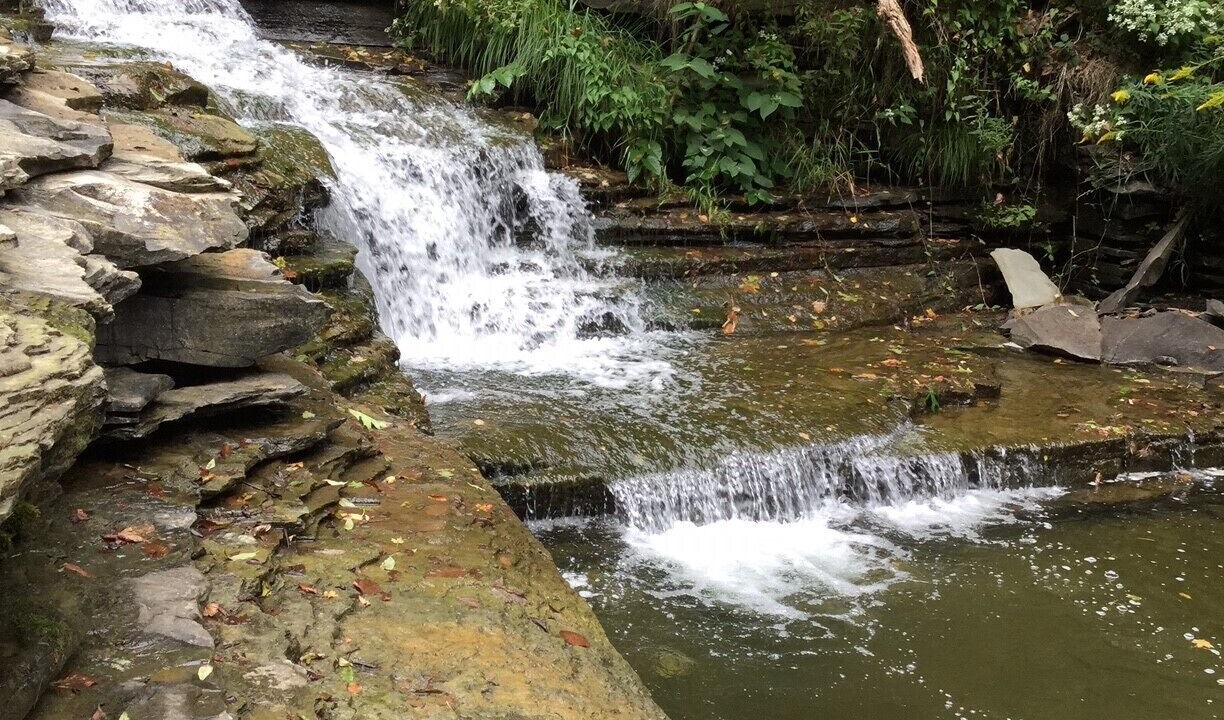 Photo of Outdoor in Dansville