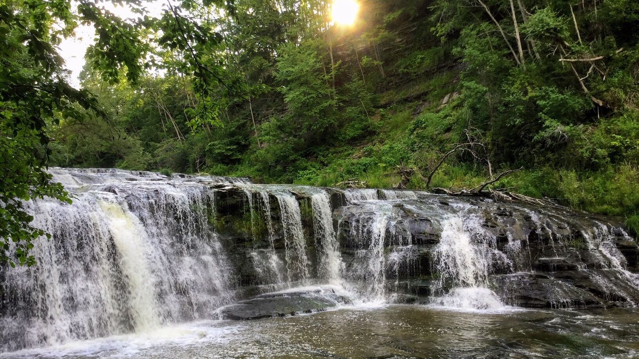 Photo of Others in Dansville