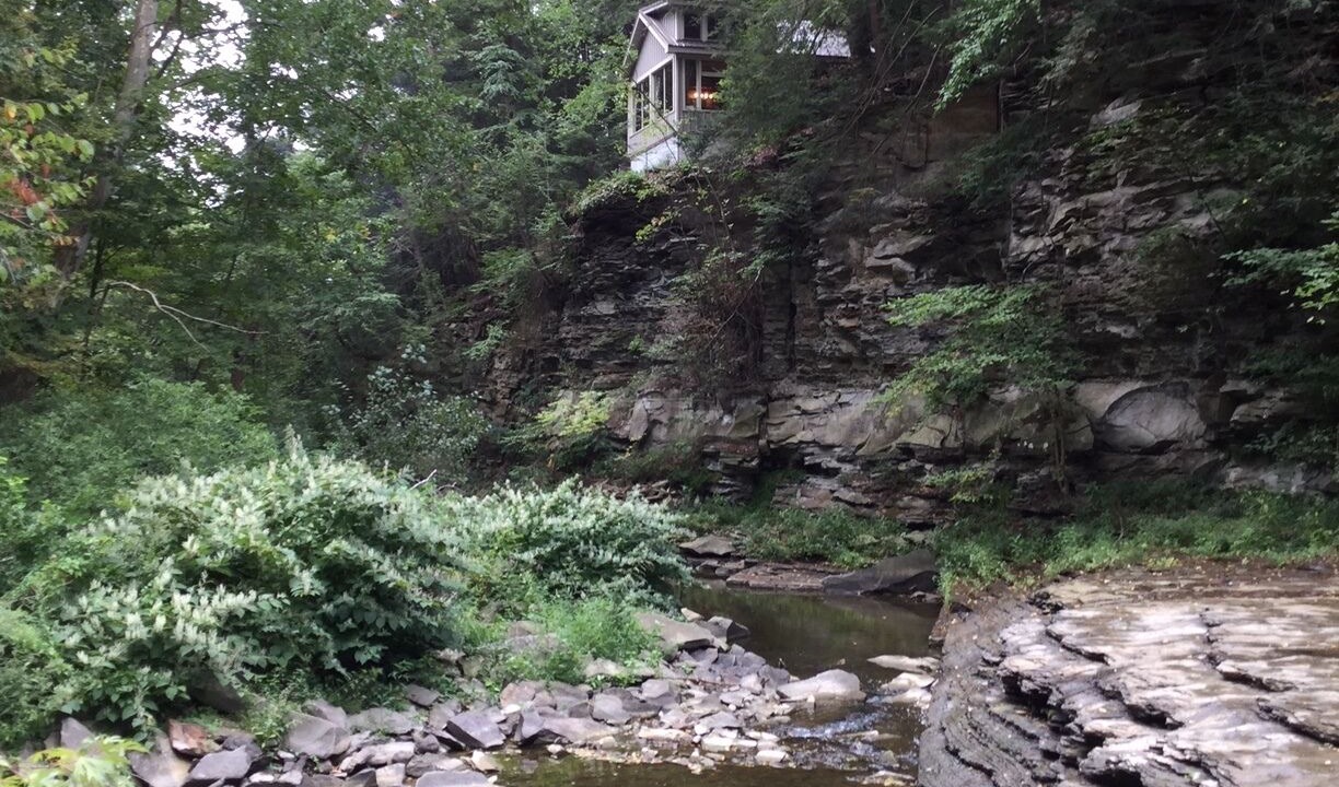 Photo of Others in Dansville