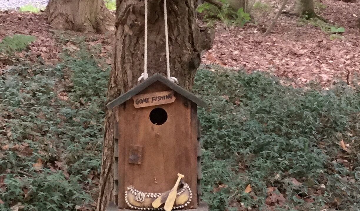 Photo of Outdoor in Dansville