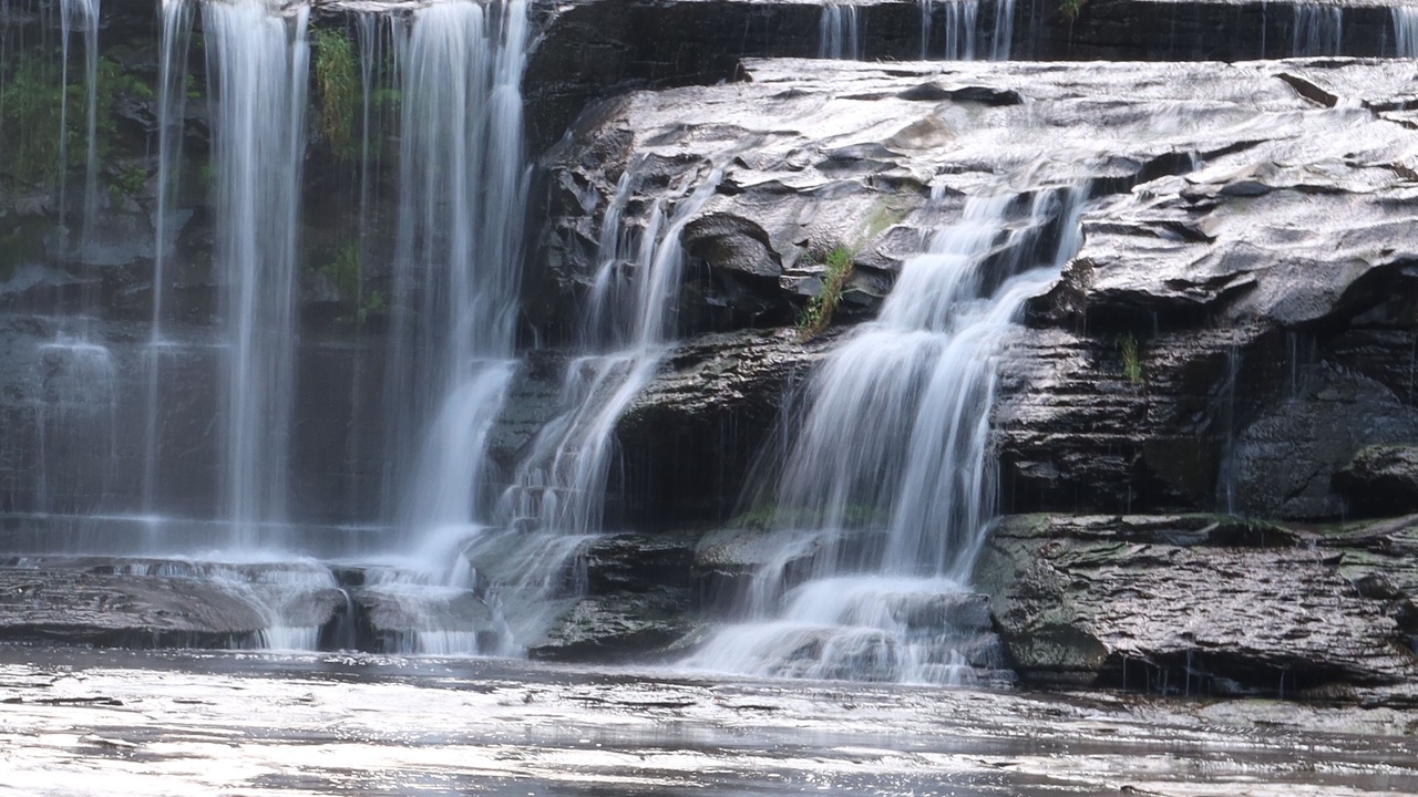 Photo of Outdoor in Dansville