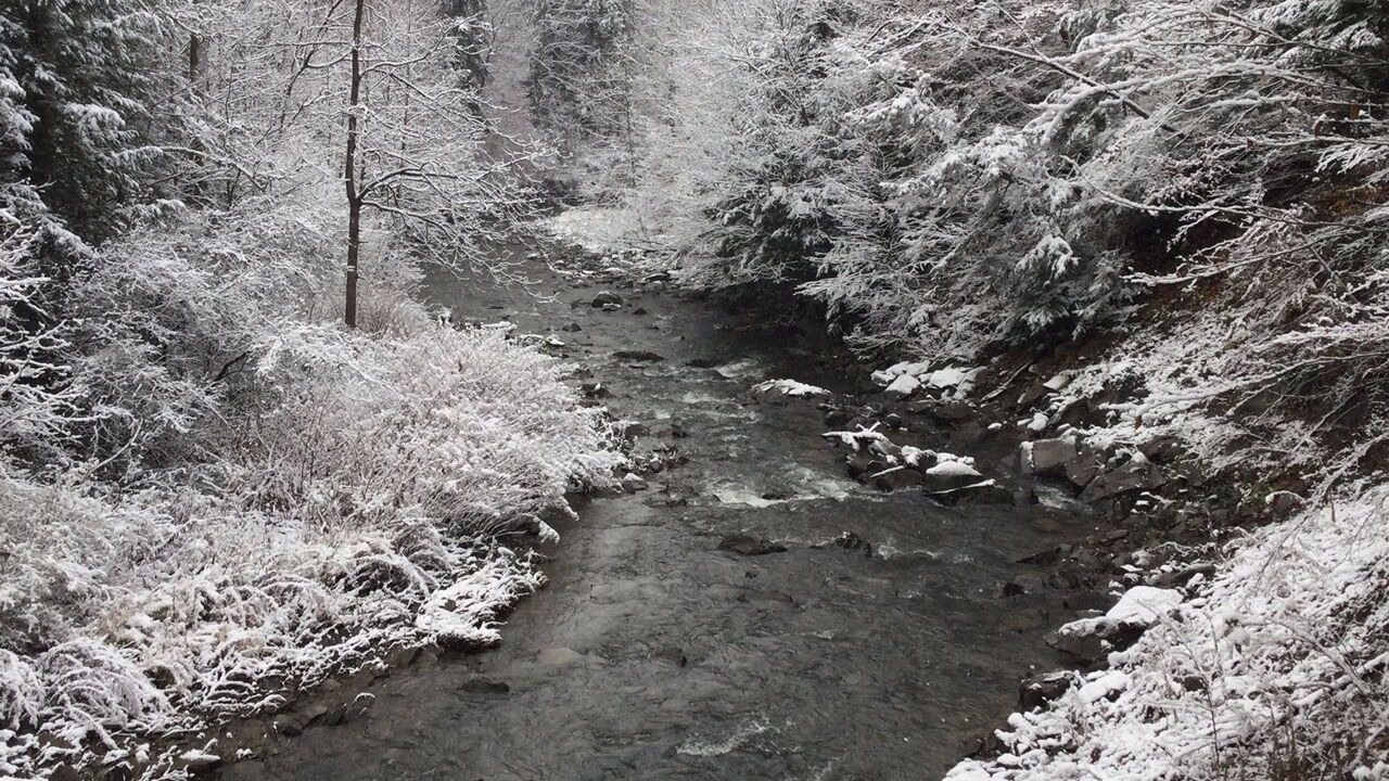 Photo of Others in Dansville