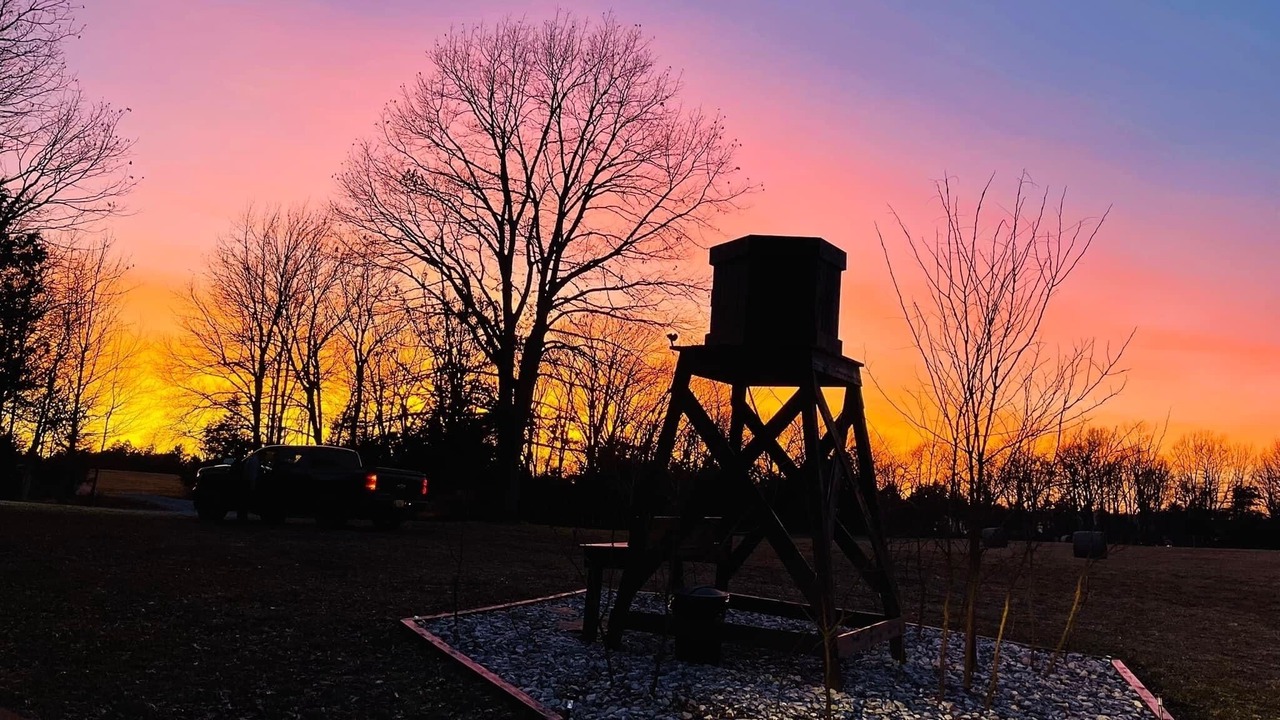 Photo of Outdoor in Kingston