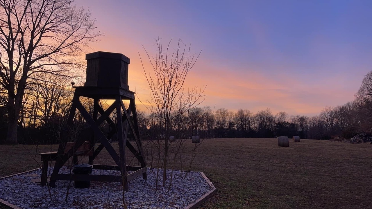 Photo of Outdoor in Kingston