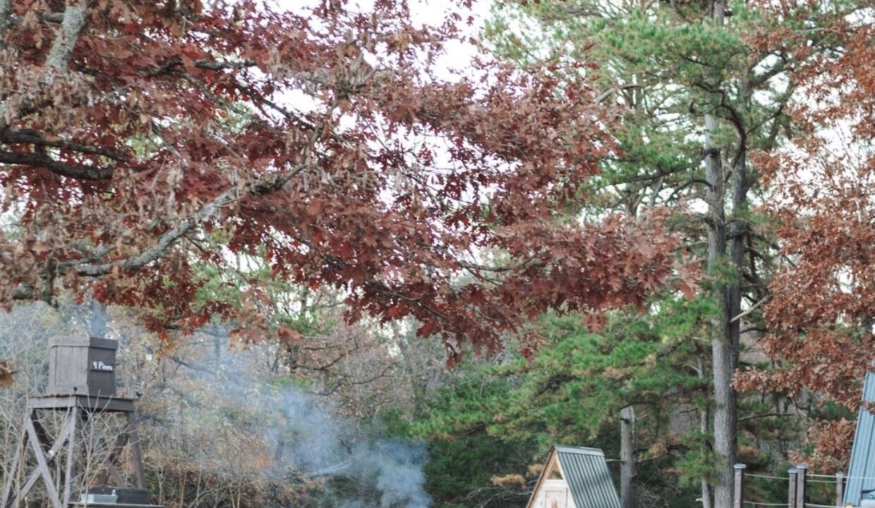Photo of Outdoor in Kingston