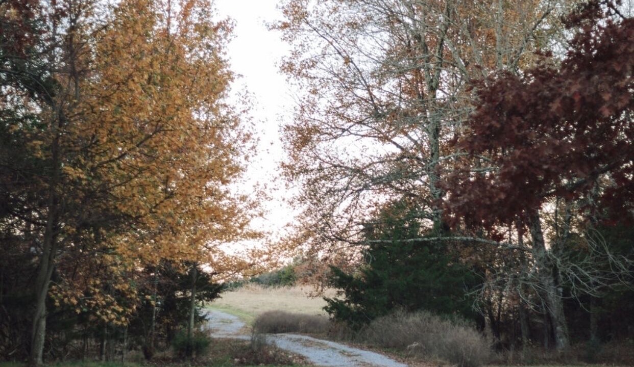 Photo of Outdoor in Kingston
