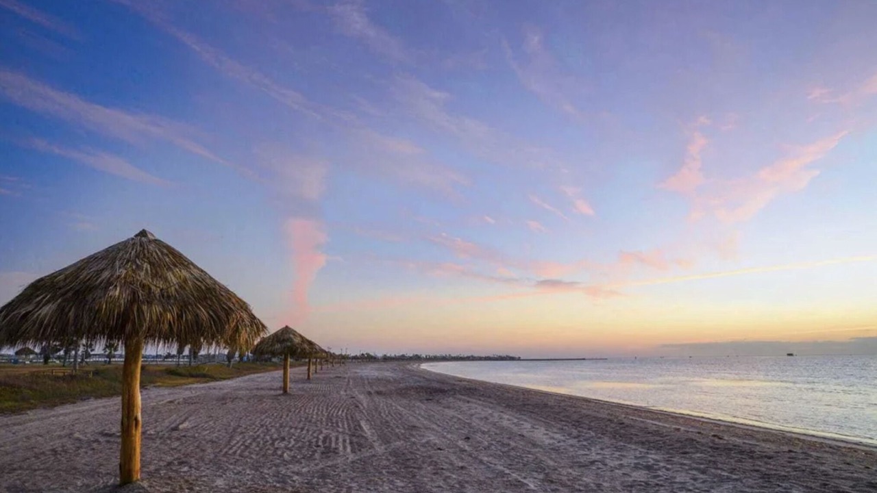 Photo of Others in Harbor Oaks