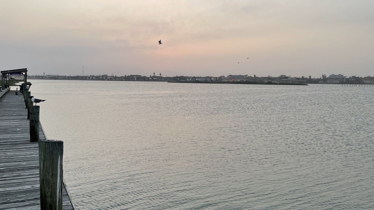 Photo of Others in Harbor Oaks