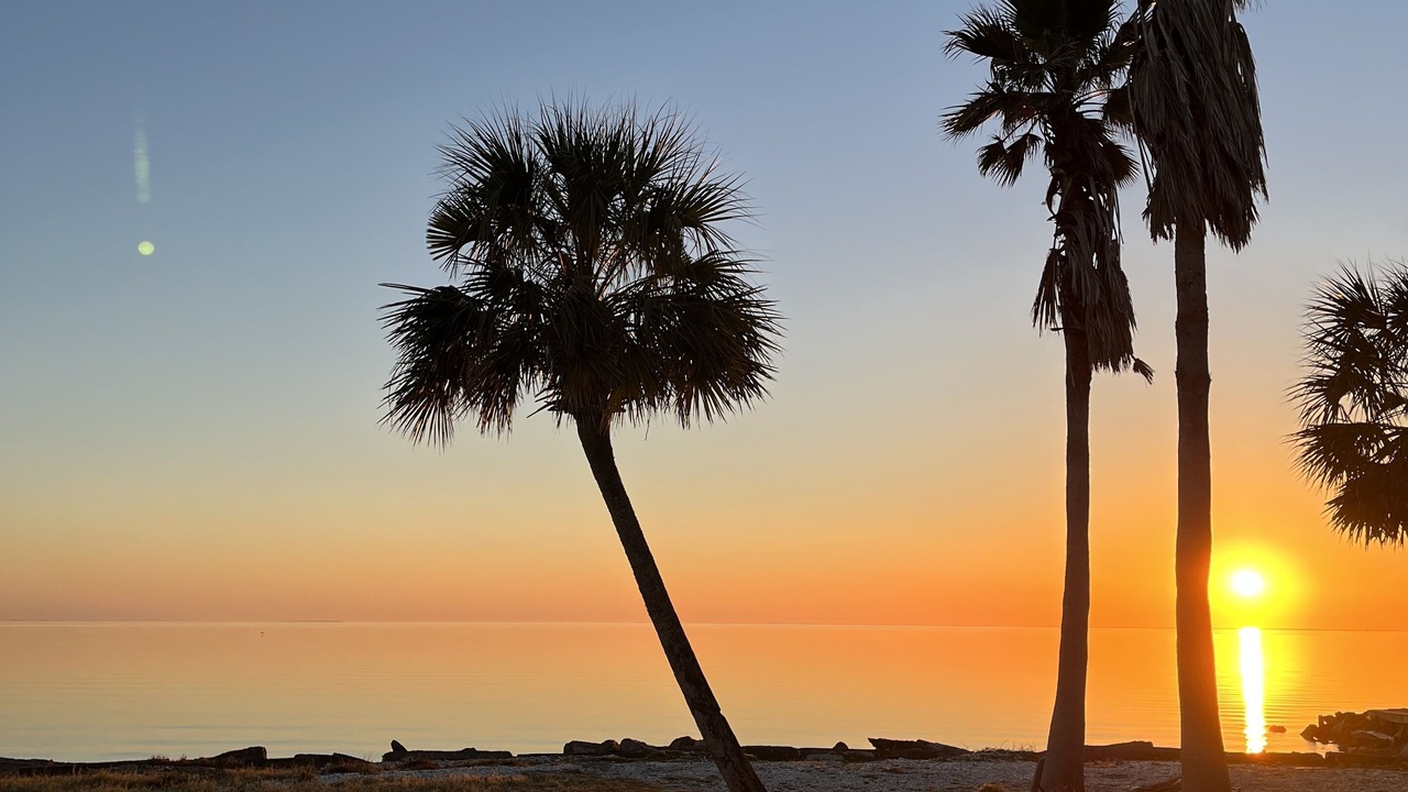 Photo of Others in Harbor Oaks