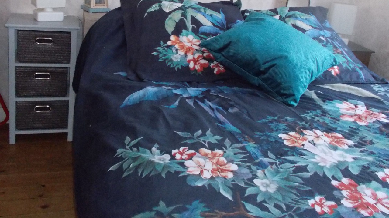 Photo of Bedroom in Jullouville