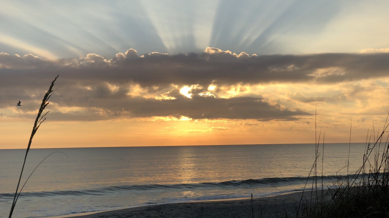 Photo of Others in Cocoa Beach