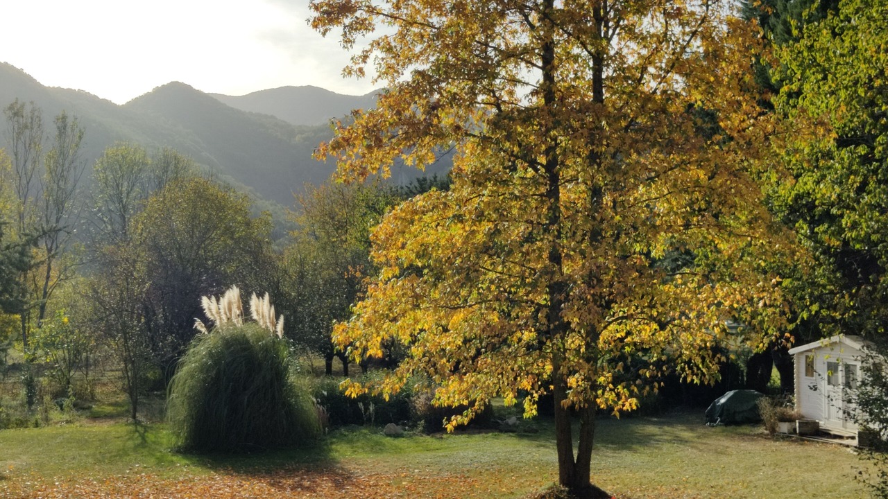 Photo of Outdoor in Moulis