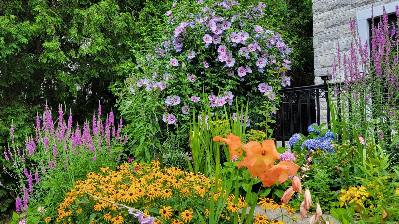Photo of Outdoor in Bout-de-l'Ile