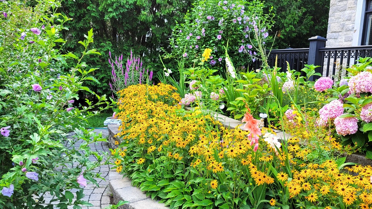 Photo of Outdoor in Bout-de-l'Ile