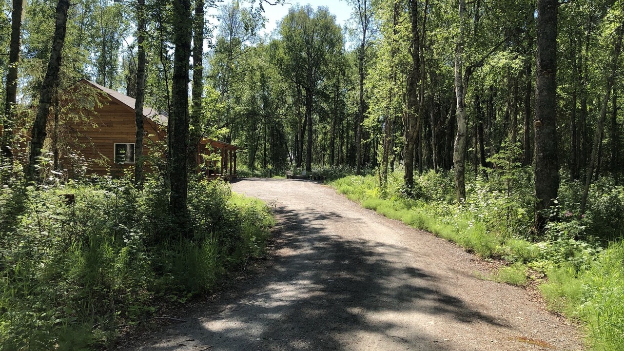Photo of Outdoor in Talkeetna