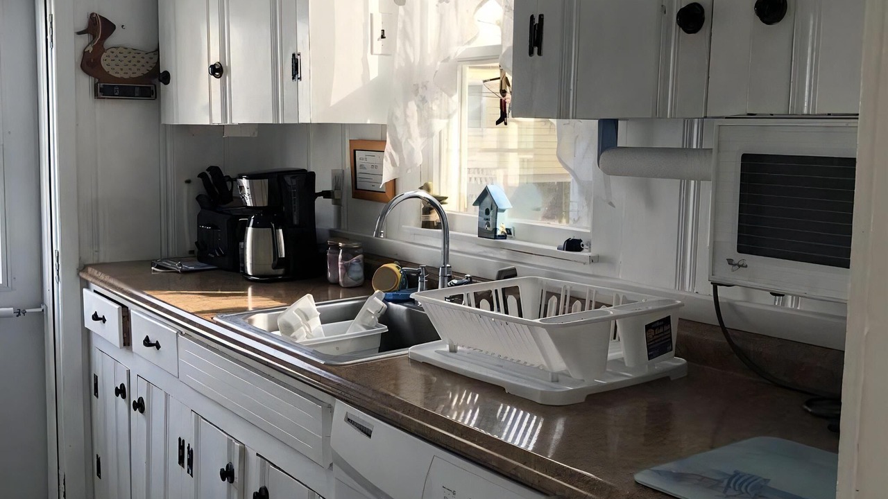 Photo of Others in Beach Haven Gardens