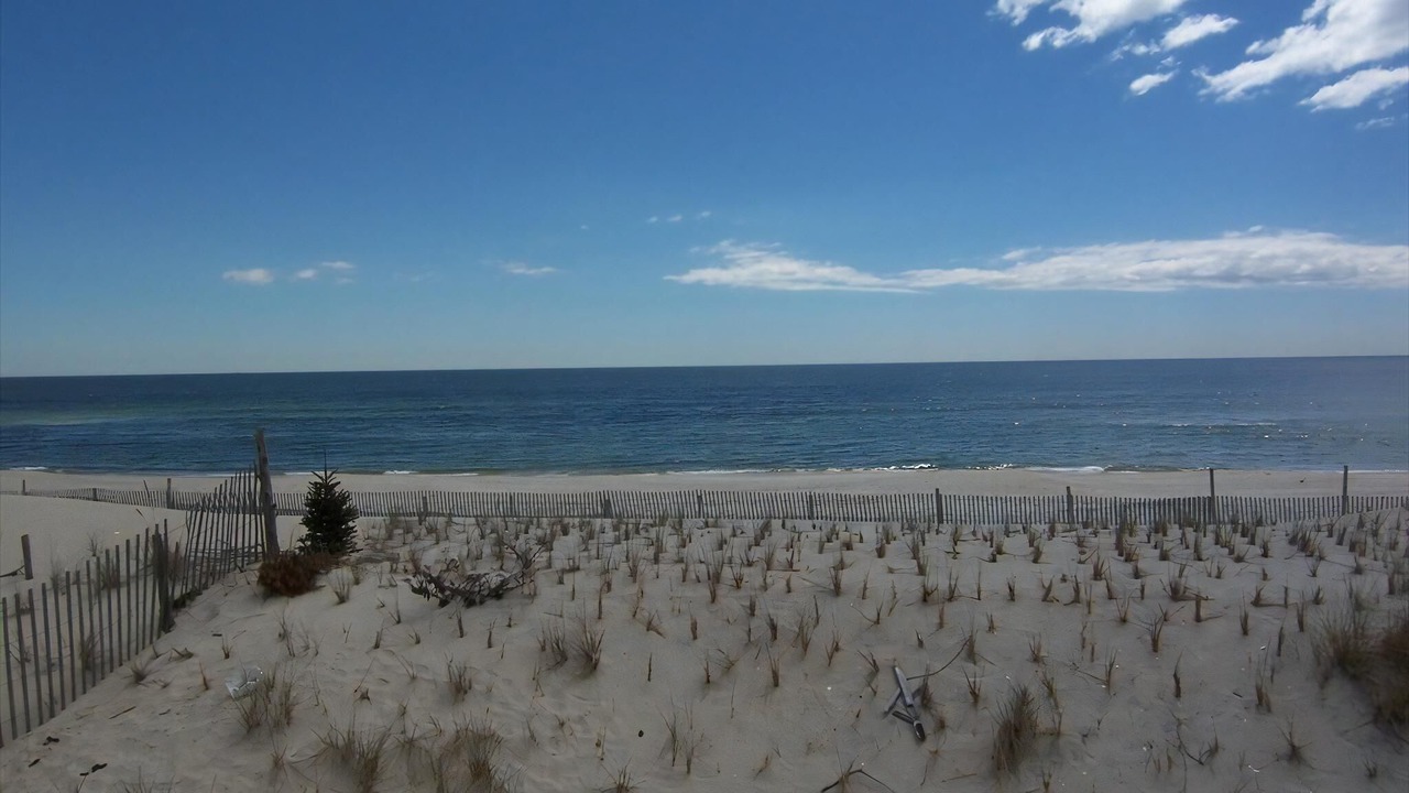 Photo of Others in Beach Haven Gardens