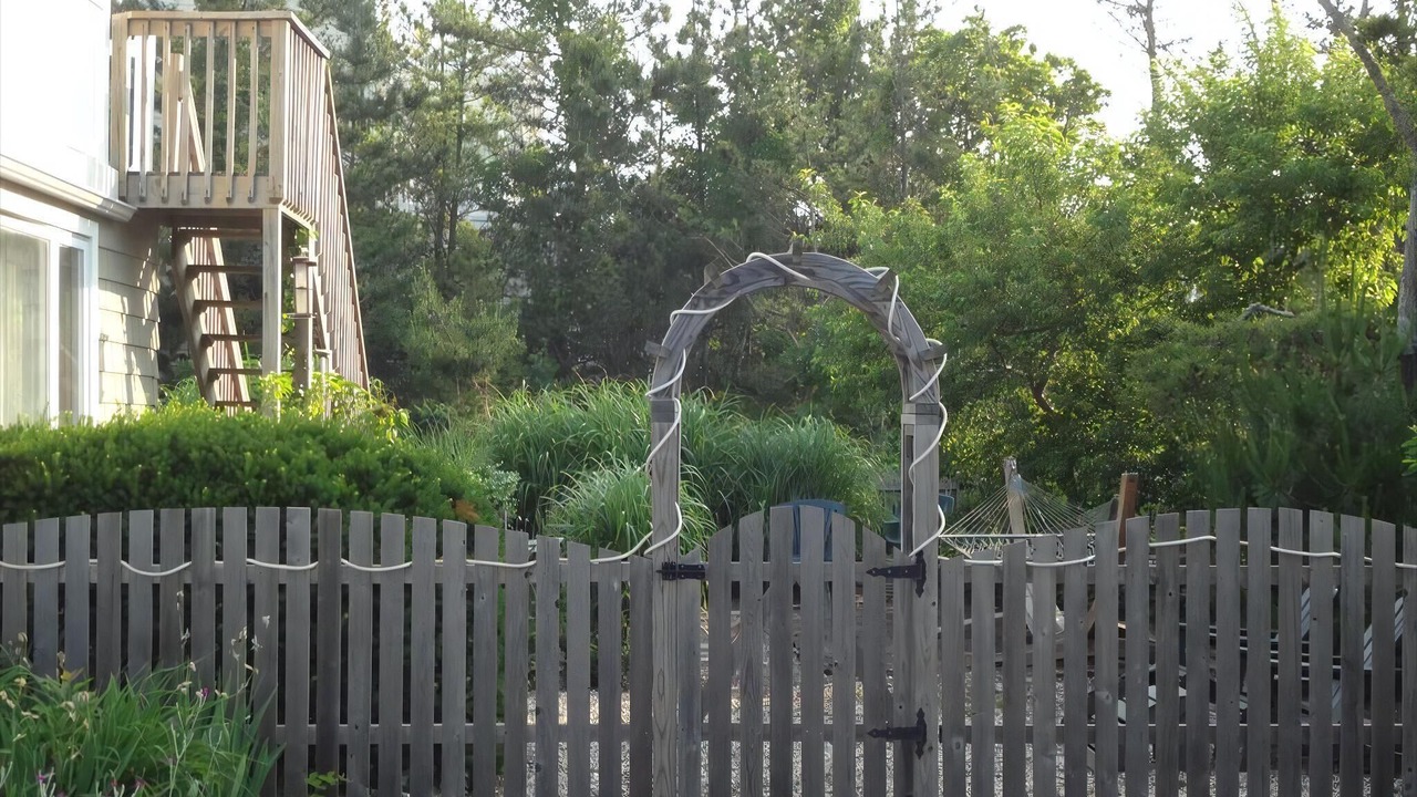 Photo of Others in Loveladies