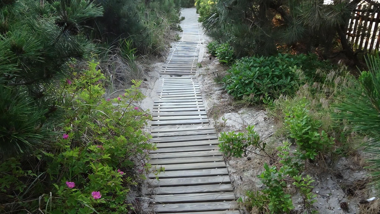 Photo of Others in Loveladies