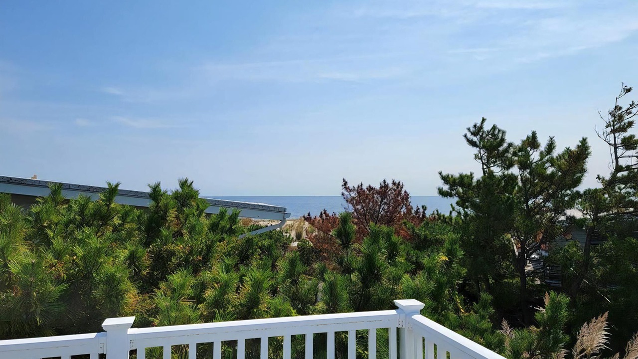 Photo of Others in Harvey Cedars