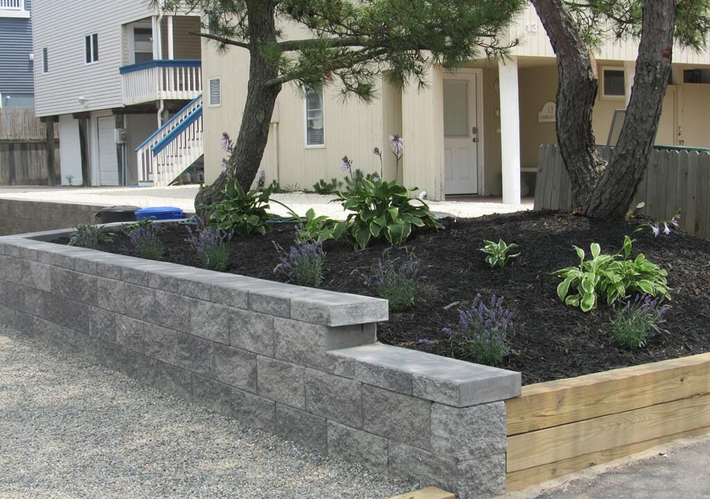 Photo of Others in Harvey Cedars