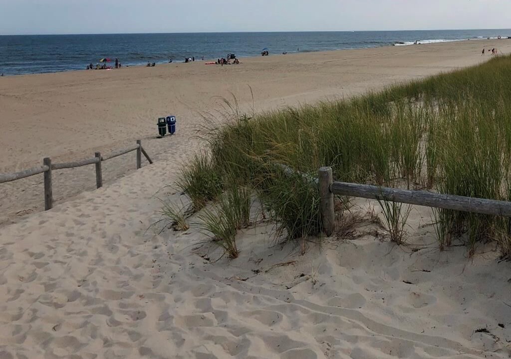 Photo of Others in Harvey Cedars