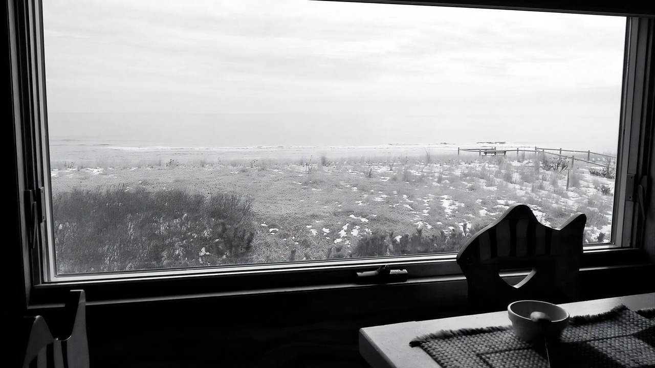 Photo of Others in Harvey Cedars