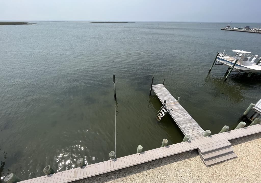 Photo of Others in Beach Haven Gardens