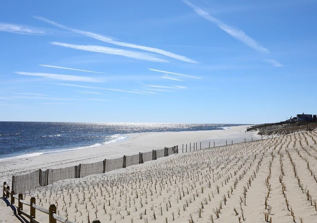 Photo of Others in North Beach