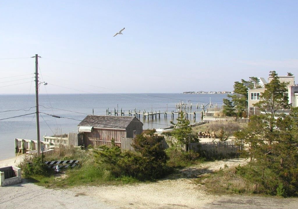 Photo of Outdoor in Harvey Cedars