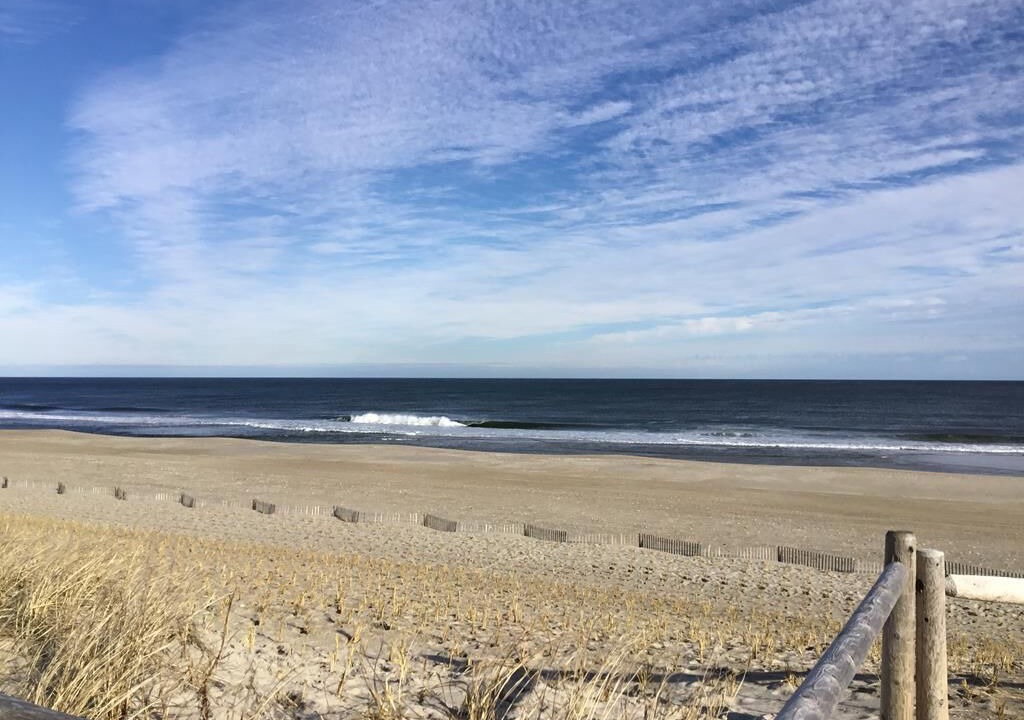 Photo of Others in Harvey Cedars