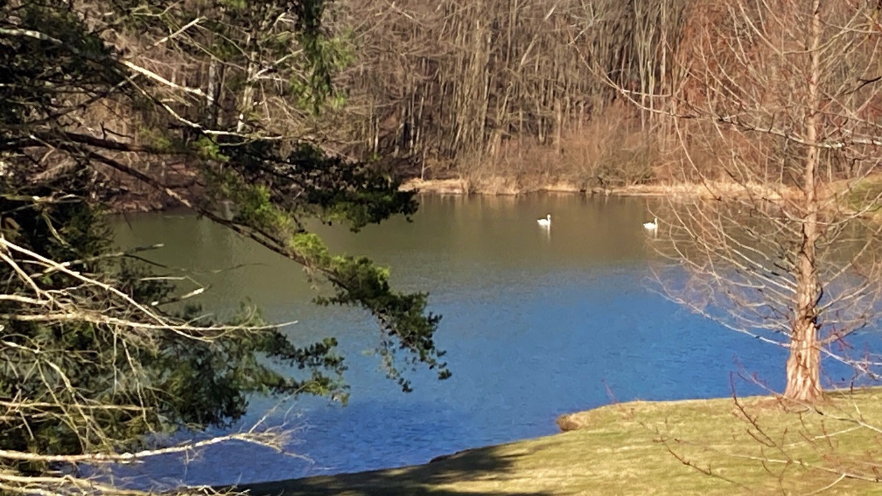 Photo of Outdoor in Racine