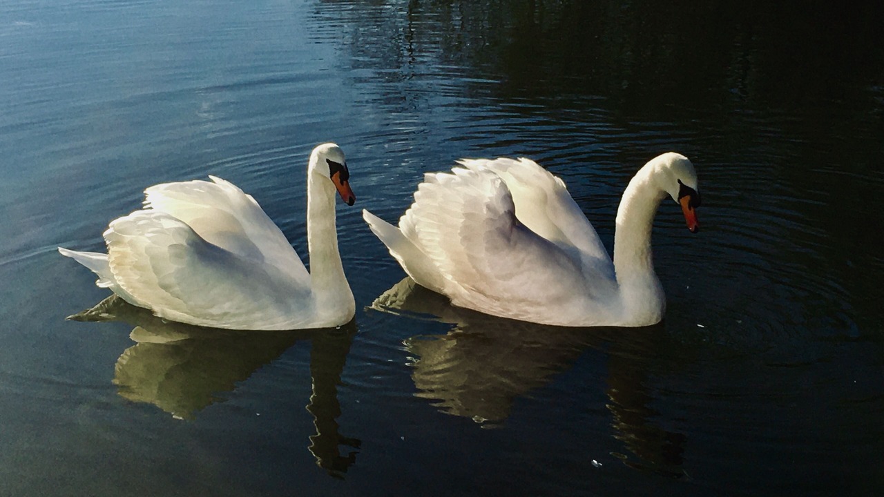 Photo of Outdoor in Racine