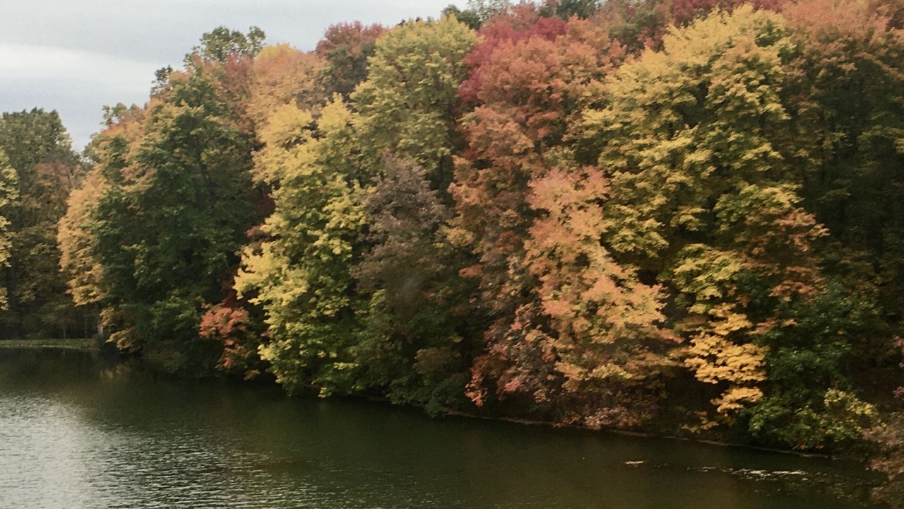 Photo of Others in Racine