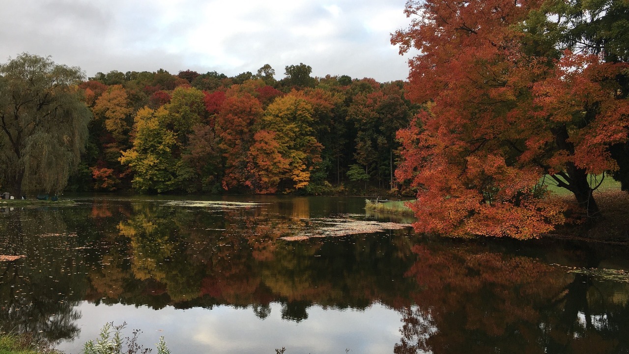 Photo of Outdoor in Racine
