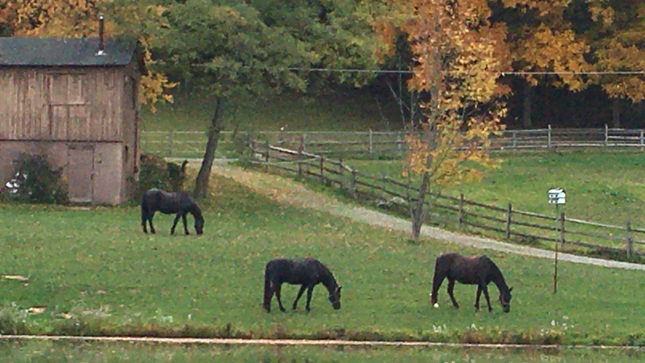 Photo of Outdoor in Racine