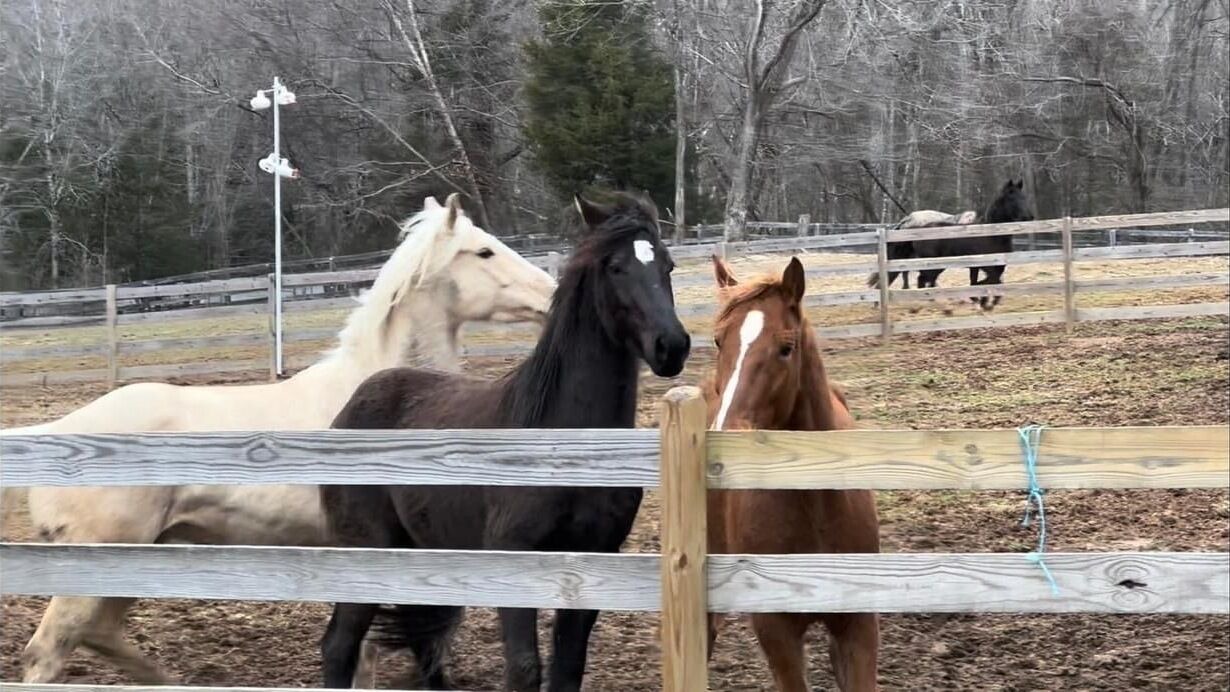 Photo of Others in Powhatan