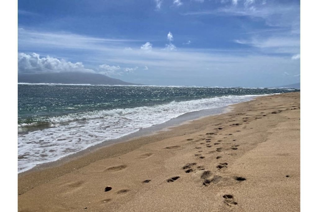 Photo of Others in Ualapue