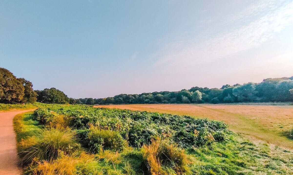 Photo of Outdoor in Ham