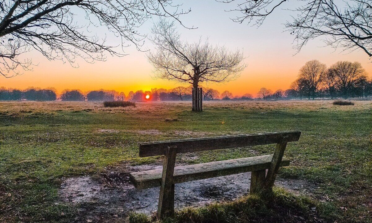 Photo of Outdoor in Ham