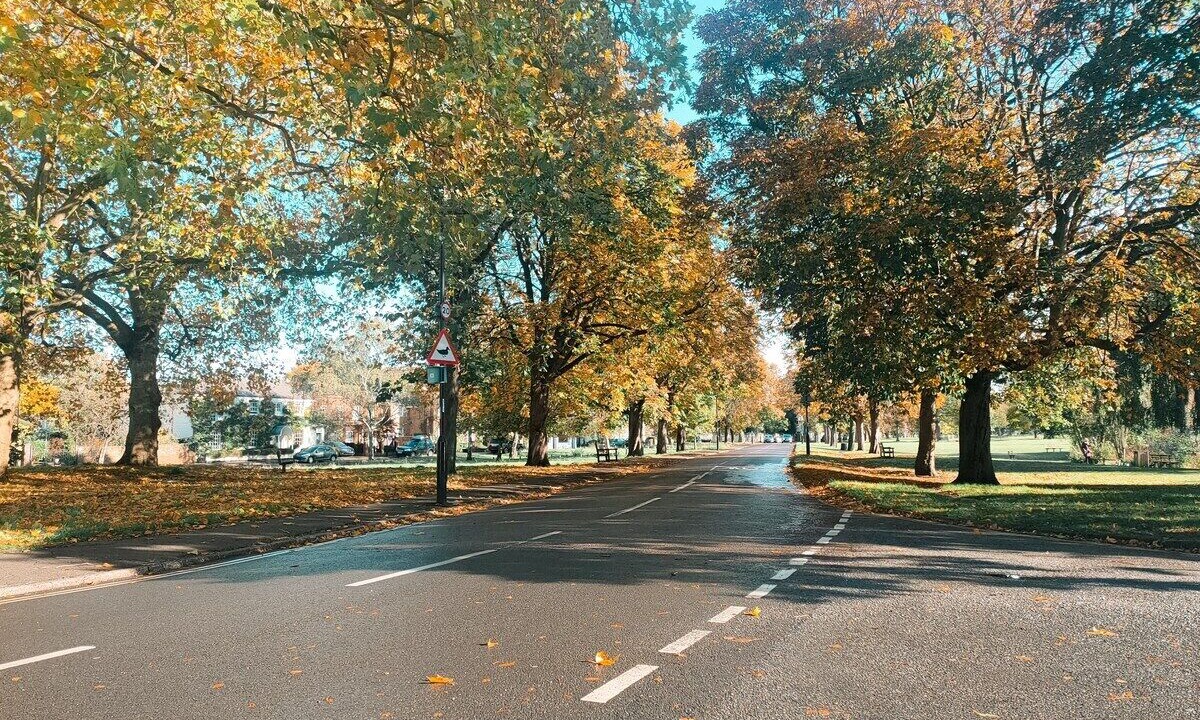 Photo of Others in Ham