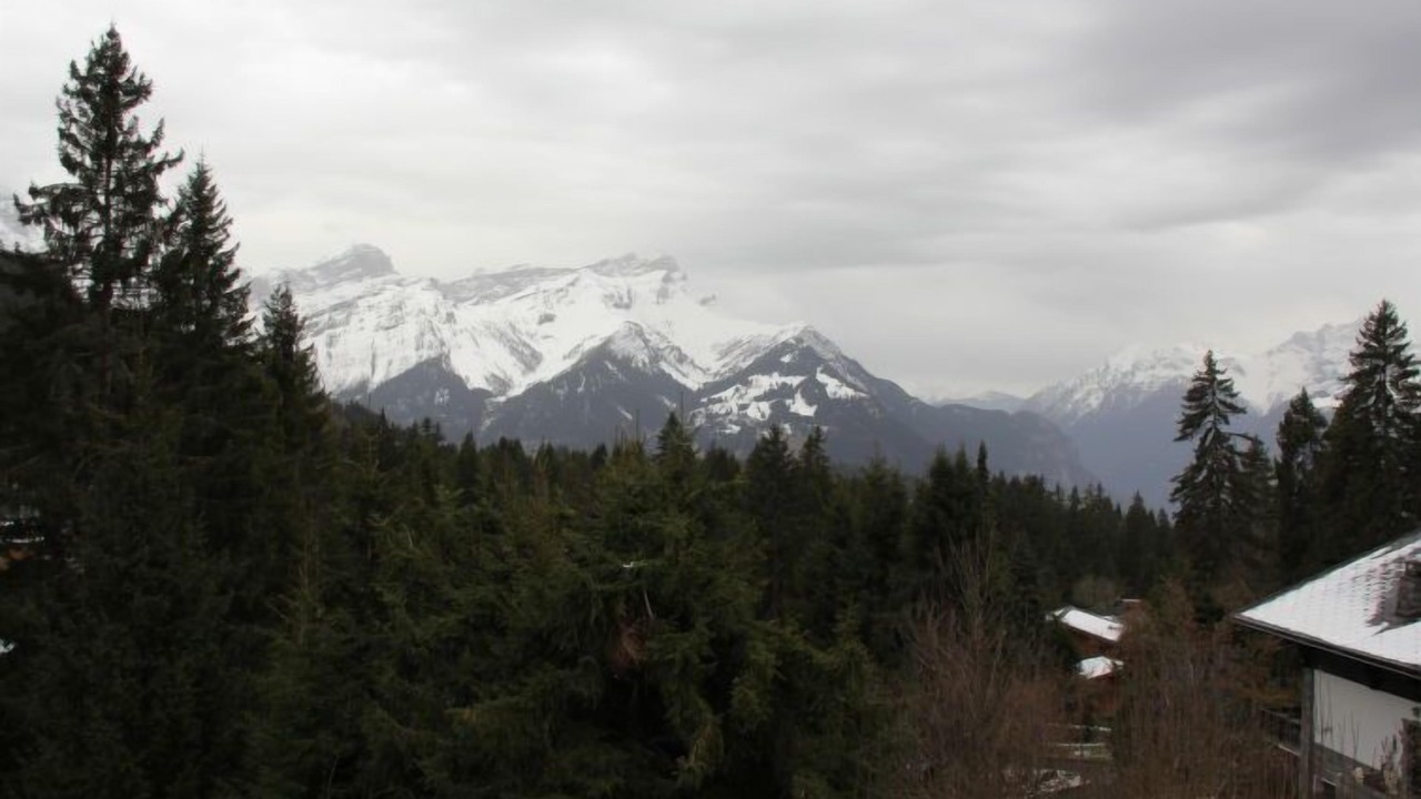 Photo of Others in Villars-sur-Ollon